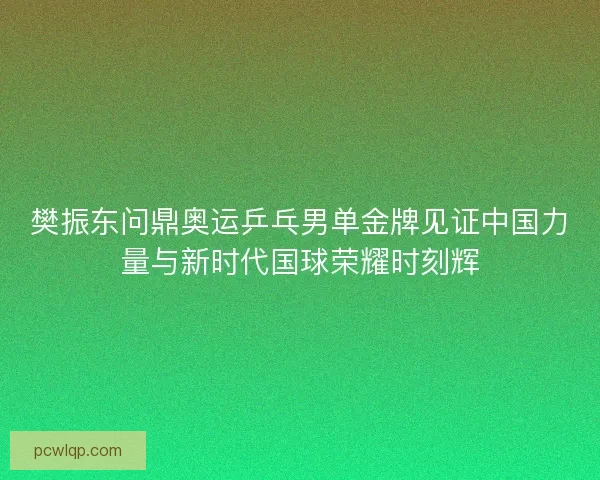 樊振东问鼎奥运乒乓男单金牌见证中国力量与新时代国球荣耀时刻辉 樊振东问鼎奥运乒乓男单金牌见证中国力量与新时代国球荣耀时刻辉
