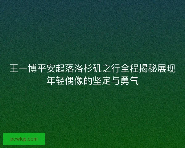 王一博平安起落洛杉矶之行全程揭秘展现年轻偶像的坚定与勇气